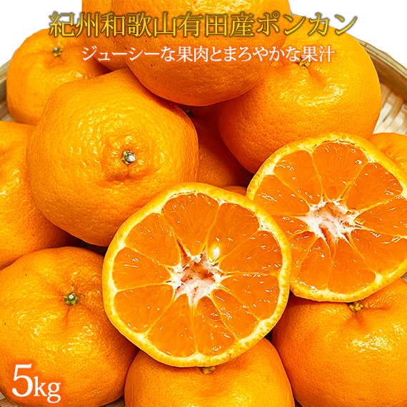 紀州和歌山有田産ポンカン　５ｋｇ【2026年2月上旬頃～2026年2月下旬頃に順次発送】【UT20】