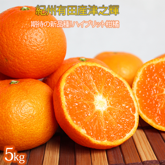 津之輝(つのかがやき)　５ｋｇ【2026年2月上旬頃～2026年2月下旬頃に順次発送】【UT21】