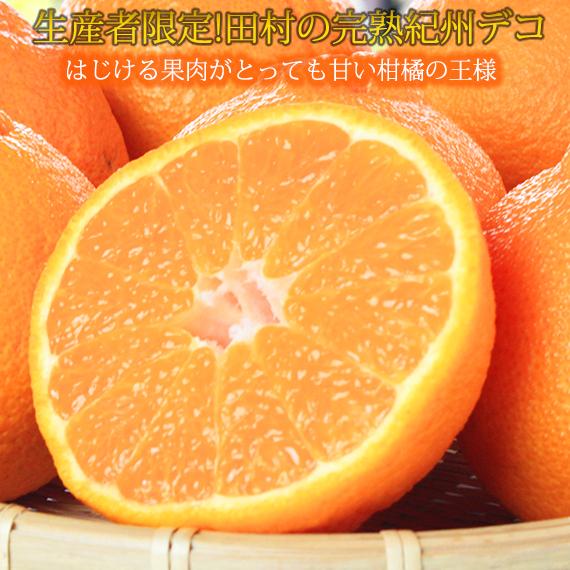 高級ブランド田村の完熟紀州デコ(不知火)［先行予約］［UT44］