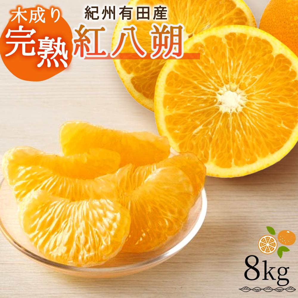 紀州有田産木成り完熟紅八朔8kg［先行予約］［UT62］