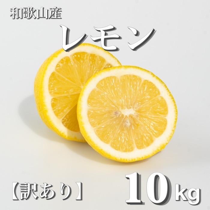 和歌山産 レモン 10kg  ［訳あり］ ［US3］