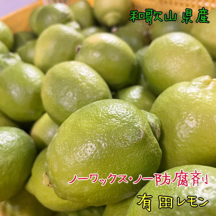 紀州和歌山 有田レモン 約1kg［農家直送］［先行予約］［MS66］