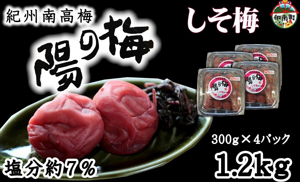 紀州南高梅　しそ梅1.2kg（300ｇ×4）