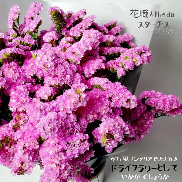 生花《スターチス》 花職人Ikeda（ピンク）