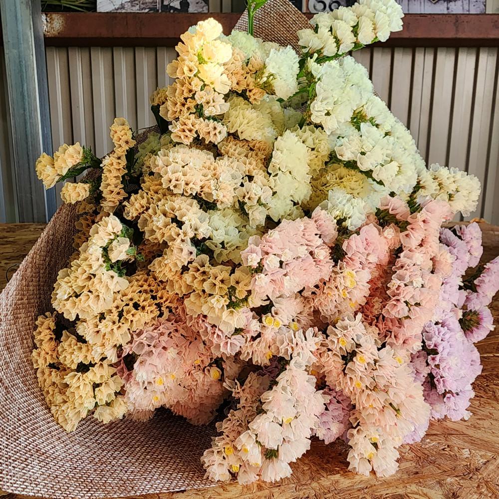 生花《スターチス》花職人Ikeda（ふるさと納税返礼品仕様 ニュアンスカラーmix）