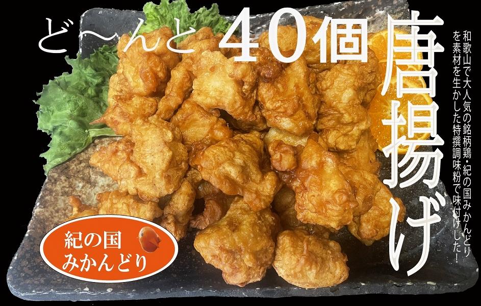 紀の国みかんどり 特撰 唐揚げ40個 約1.5kg