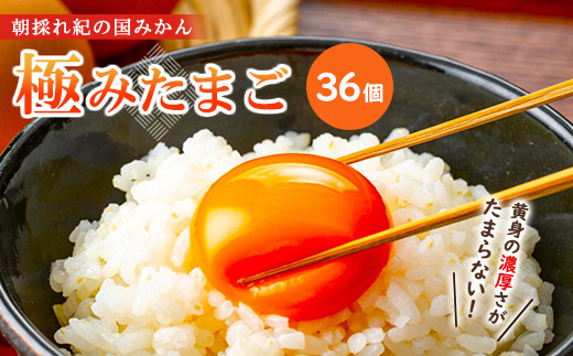 紀の国みかん極みたまご36個 卵 たまご 玉子 タマゴ 鶏卵  卵かけご飯
