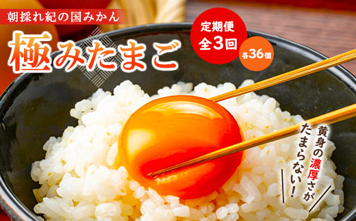 【全3回】紀の国みかん極みたまご定期便 卵 たまご 玉子 タマゴ 鶏卵  卵かけご飯