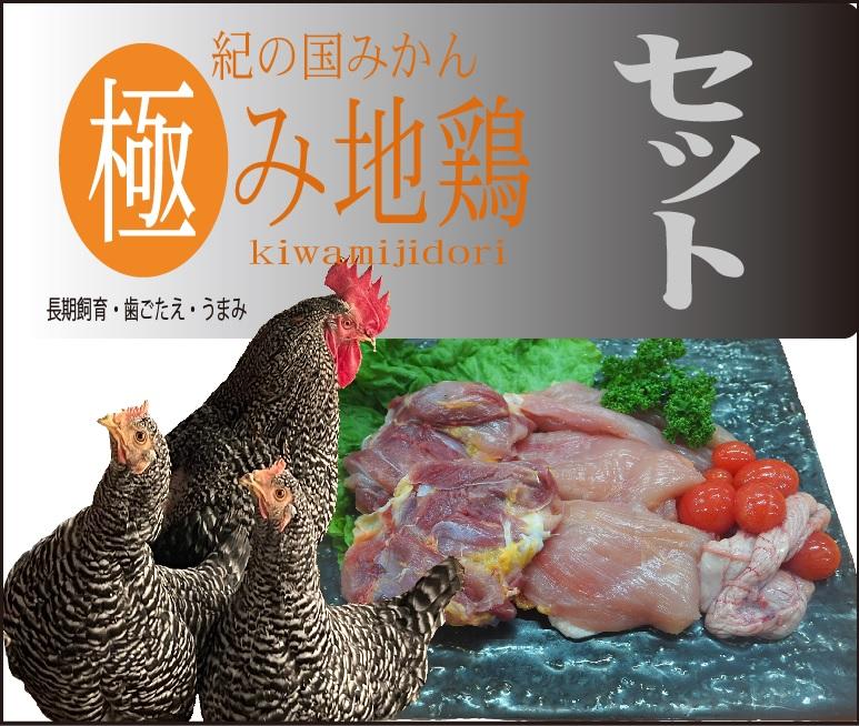 紀の国みかん極み地鶏セット