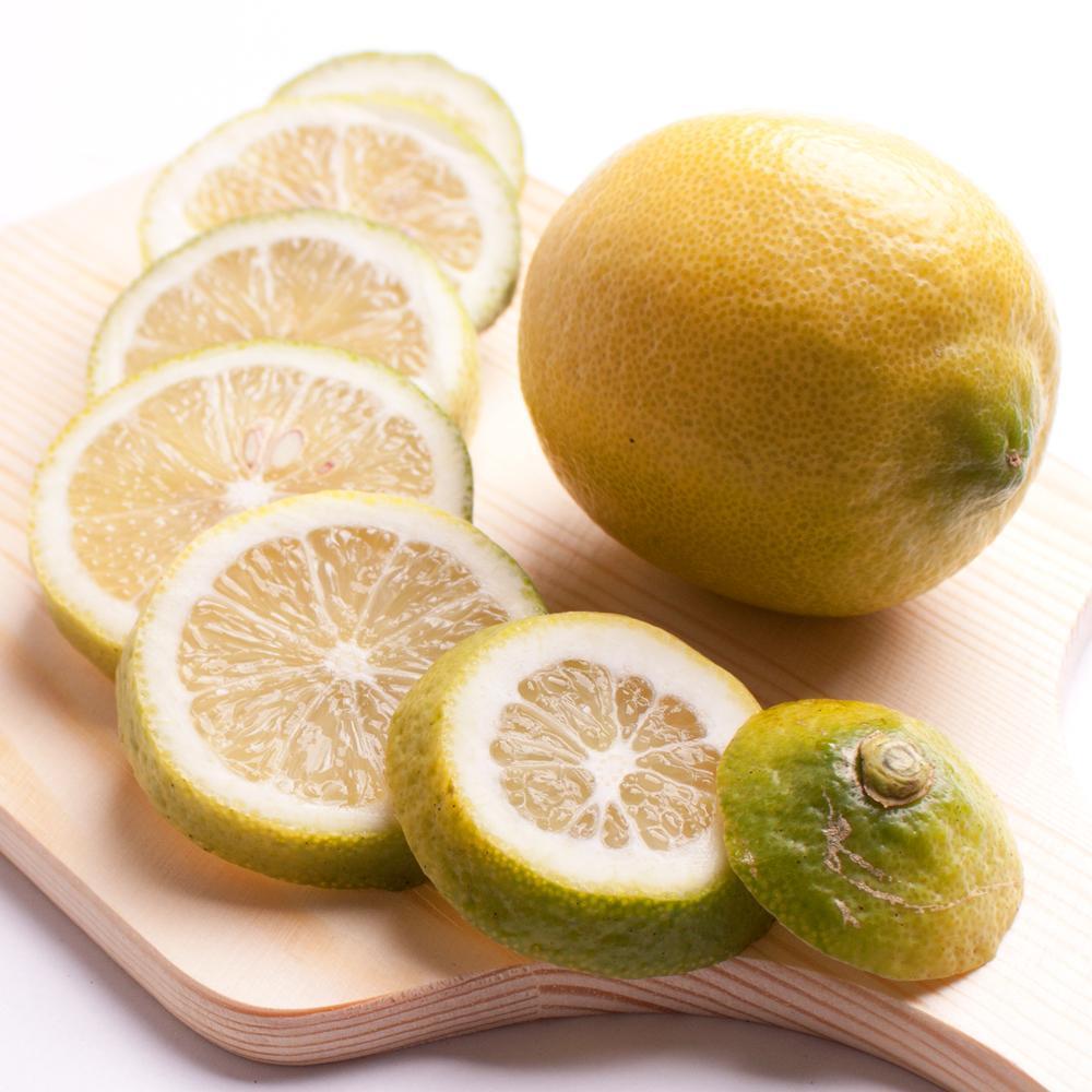 レモン5kg+250g（傷み補償分）【和歌山有田産】【防腐剤・WAX不使用、安心の国産レモン】［IKE129］