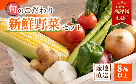 旬の新鮮野菜詰め合わせ 8種以上【野菜セット】 詰め合わせ やさい 果物 新鮮 旬 産地直送 採れたて 朝採れ みずみずしい 甘い 美味しい 人気 安心 安全 おすすめ 和歌山 県印南町