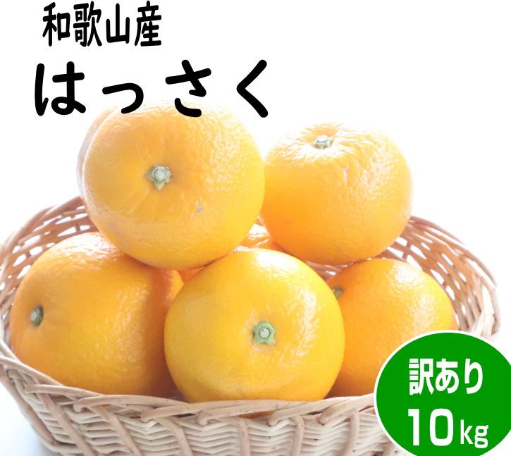 【訳あり・ご家庭用】はっさく（八朔）約10kg 和歌山産