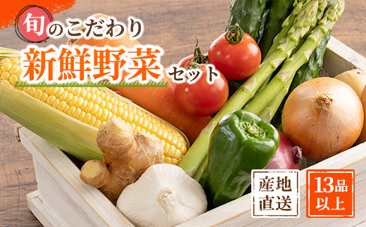 旬の新鮮野菜セット 大満足な13種以上【野菜詰め合わせ】詰め合わせ やさい 果物 新鮮  旬 産地直送 採れたて 朝採れ みずみずしい 甘い 美味しい 人気 安心 安全 おすすめ和歌山県　印南町