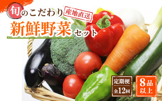 定期便 旬の新鮮野菜詰め合わせ 8種以上 全12回【野菜セット】詰め合わせ やさい 果物 新鮮  旬 産地直送 採れたて 朝採れ みずみずしい 甘い 美味しい 人気 安心 安全 おすすめ 和歌山県 印南町