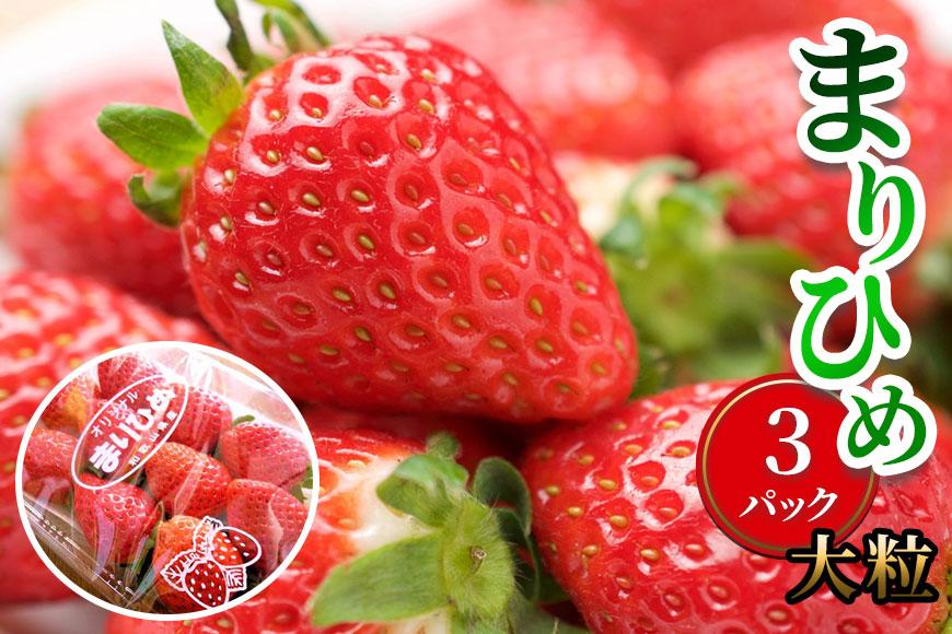 いちご（まりひめ）3パック【和歌山生まれのイチゴ】