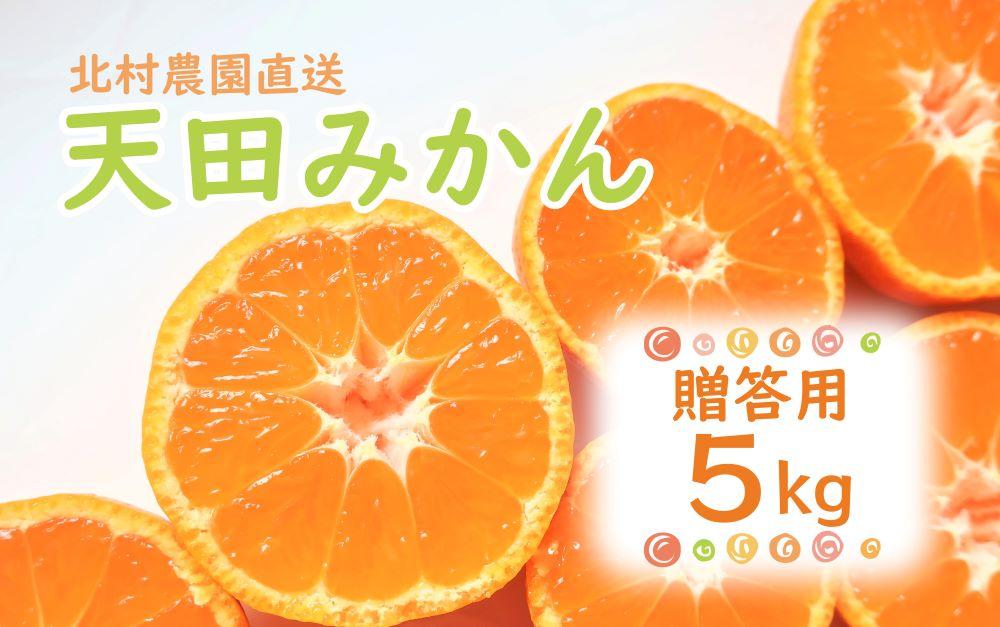 先行予約【2025年11月下旬より発送】濃厚温州みかん贈答用5kg（和歌山天田みかん）みかんの産地和歌山　北村農園直送