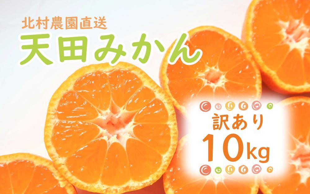 先行予約【2025年11月下旬より発送】濃厚温州みかんご家庭用10kg（和歌山天田みかん）みかんの産地和歌山　北村農園直送