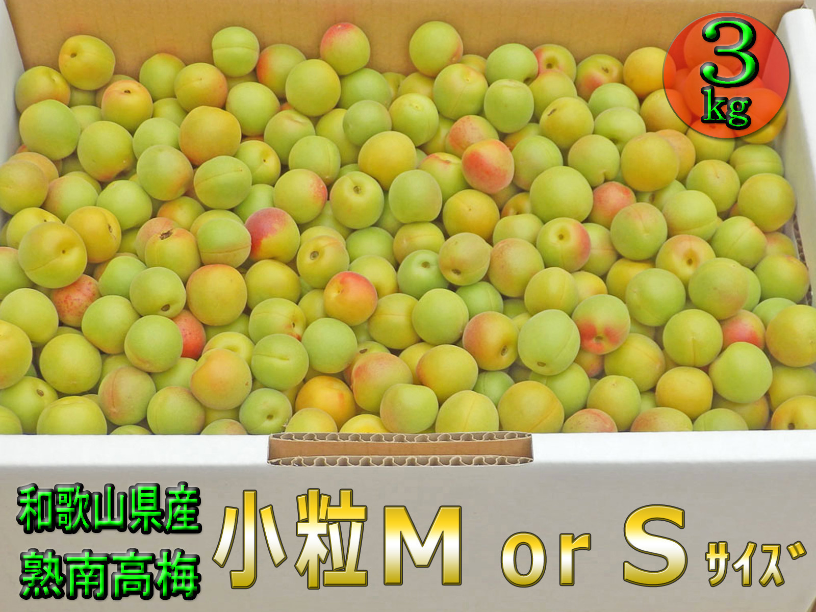 ［梅干・梅酒用］小粒（SまたはM－3Kg）熟南高梅＜2026年6月下旬～7月中旬発送予定＞フルーツ 果物 くだもの 食品 人気 おすすめ 送料無料［ART20］