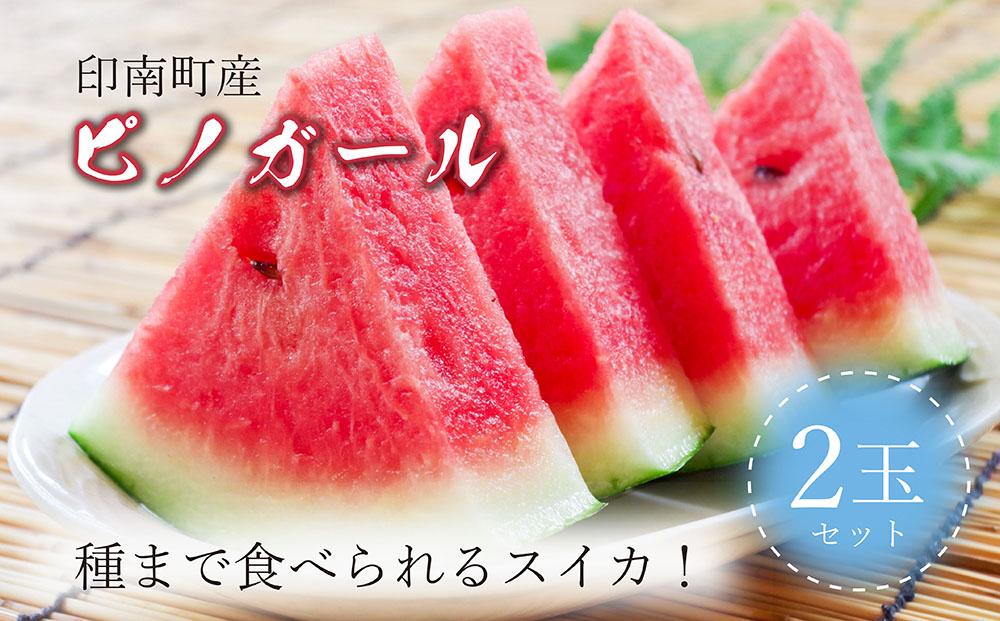 種まで食べられるスイカ！印南町産 ピノガール【2玉セット】2026年5月下旬より順次お届け
