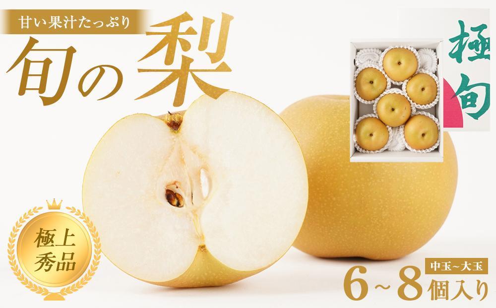 先行予約 旬の梨 極上 秀品（中玉～大玉）6～8個入り ［2026年8月下旬頃～9月下旬頃発送］［KG23］