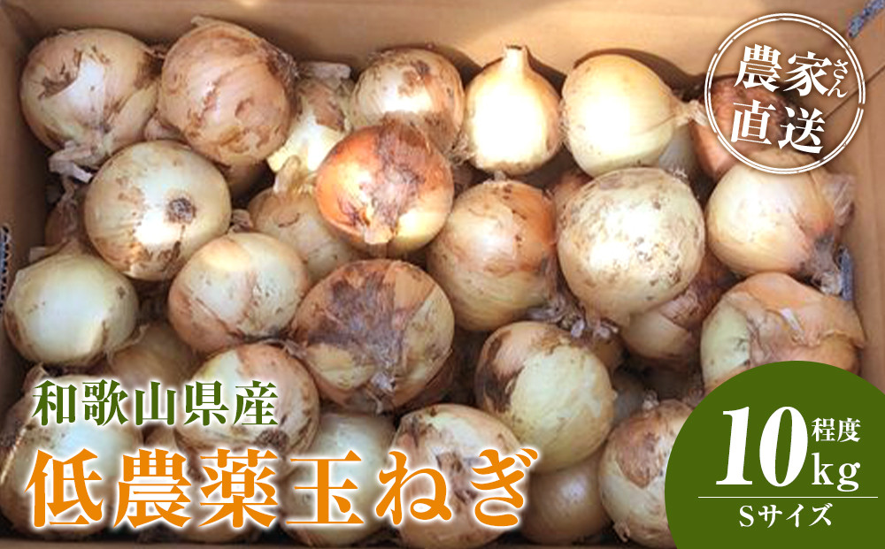 ［2026年発送分・先行予約］農家さん直送 低農薬玉ねぎ Sサイズ 10kg程度［4月中旬～7月中旬頃発送予定］［KF18］