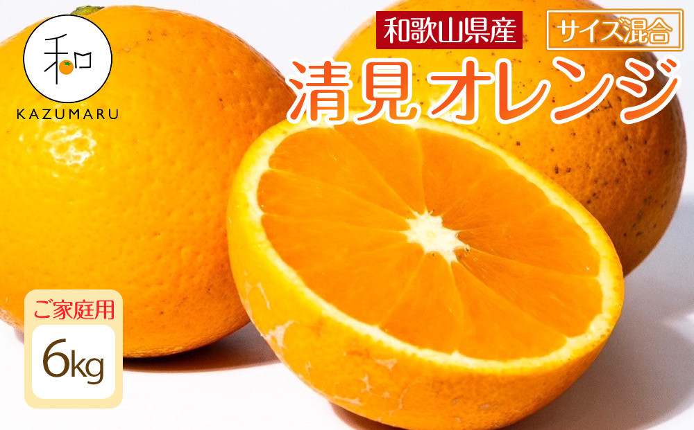 家庭用 森本農園の手選別 清見オレンジ 6kg 和歌山県産 サイズ混合 ［北海道・沖縄・離島配送不可］［RN38］［2026年2月上旬から5月中旬頃順次発送予定］