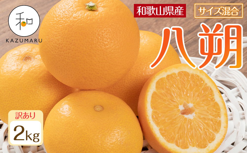 訳あり 森本農園の手選別 八朔 約2kg 和歌山県産 サイズ混合 ［北海道・沖縄・離島配送不可］［2026年1月中旬から発送予定］［RN118］★