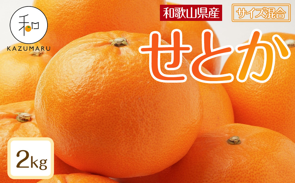 森本農園の手選別 せとか 約2kg 和歌山県産 サイズ混合 ［北海道・沖縄・離島配送不可］［2026年2月上旬から順次発送予定］［RN129］★