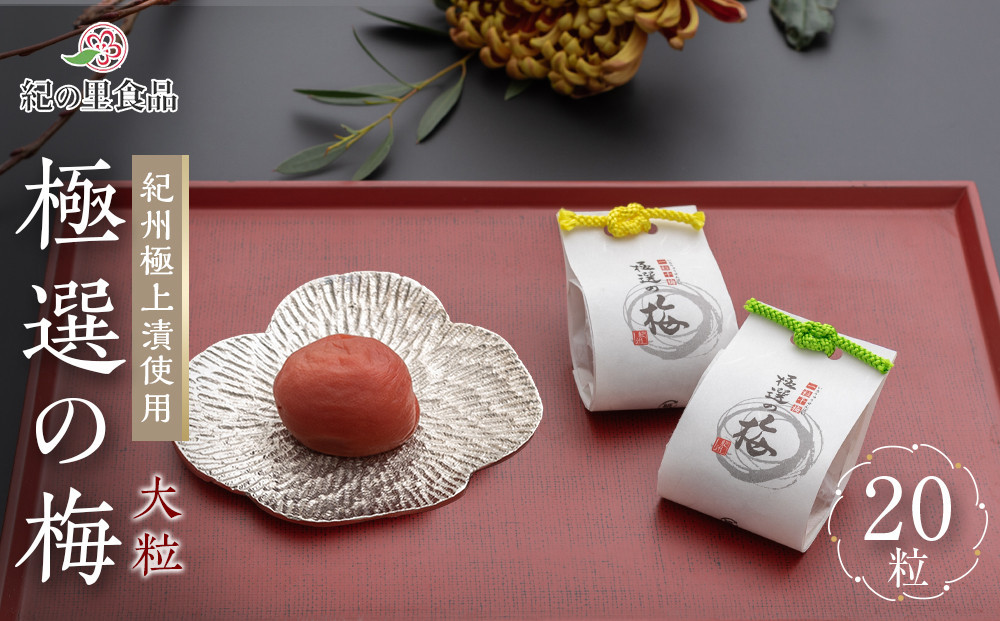 梅干し 極選の梅 木箱 1箱20粒入り ［Kn12］