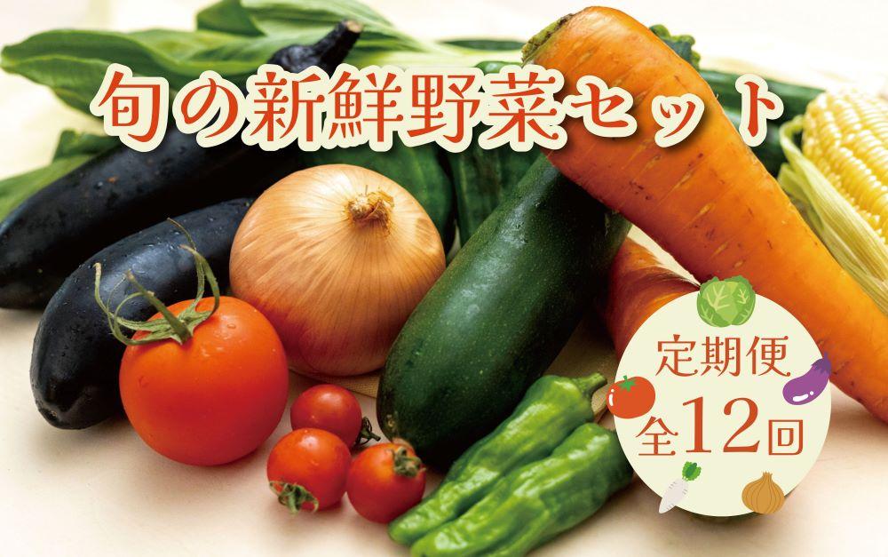 [毎月お届け全12回]旬の新鮮野菜セットA(たっぷり13種類以上)詰め合わせ やさい 果物 新鮮 旬 産地直送 採れたて 朝採れ みずみずしい 甘い 美味しい 人気 安心 安全 おすすめ 和歌山 県印南町