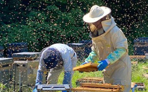 百花蜂蜜 約550g×2本 nkmryoho006A