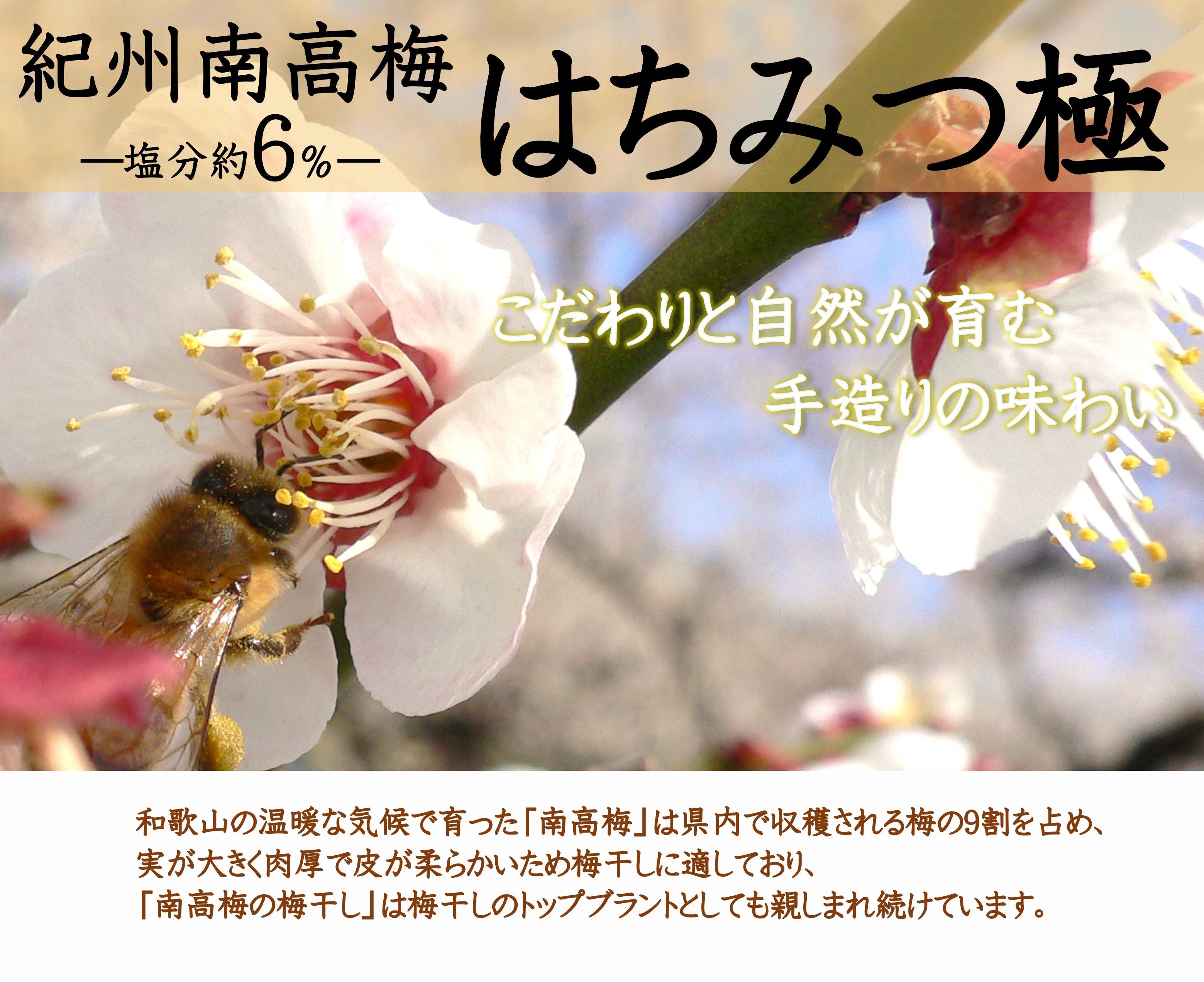 紀州南高梅 はちみつ極 塩分約6％ 850g ［YM10m］ yamada009A