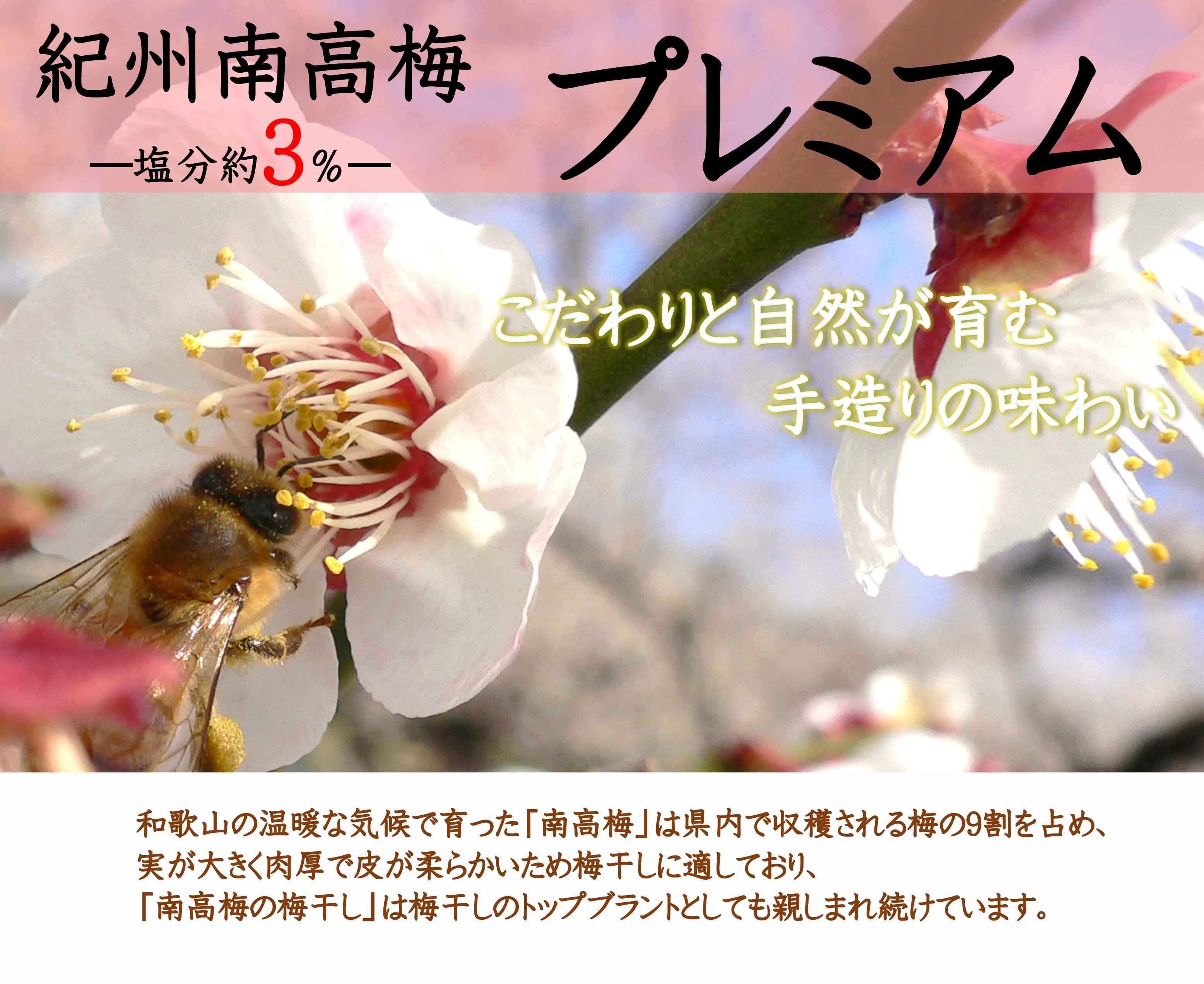 紀州南高梅 プレミアム 塩分約3％ 500g ［YM11m］ yamada010A