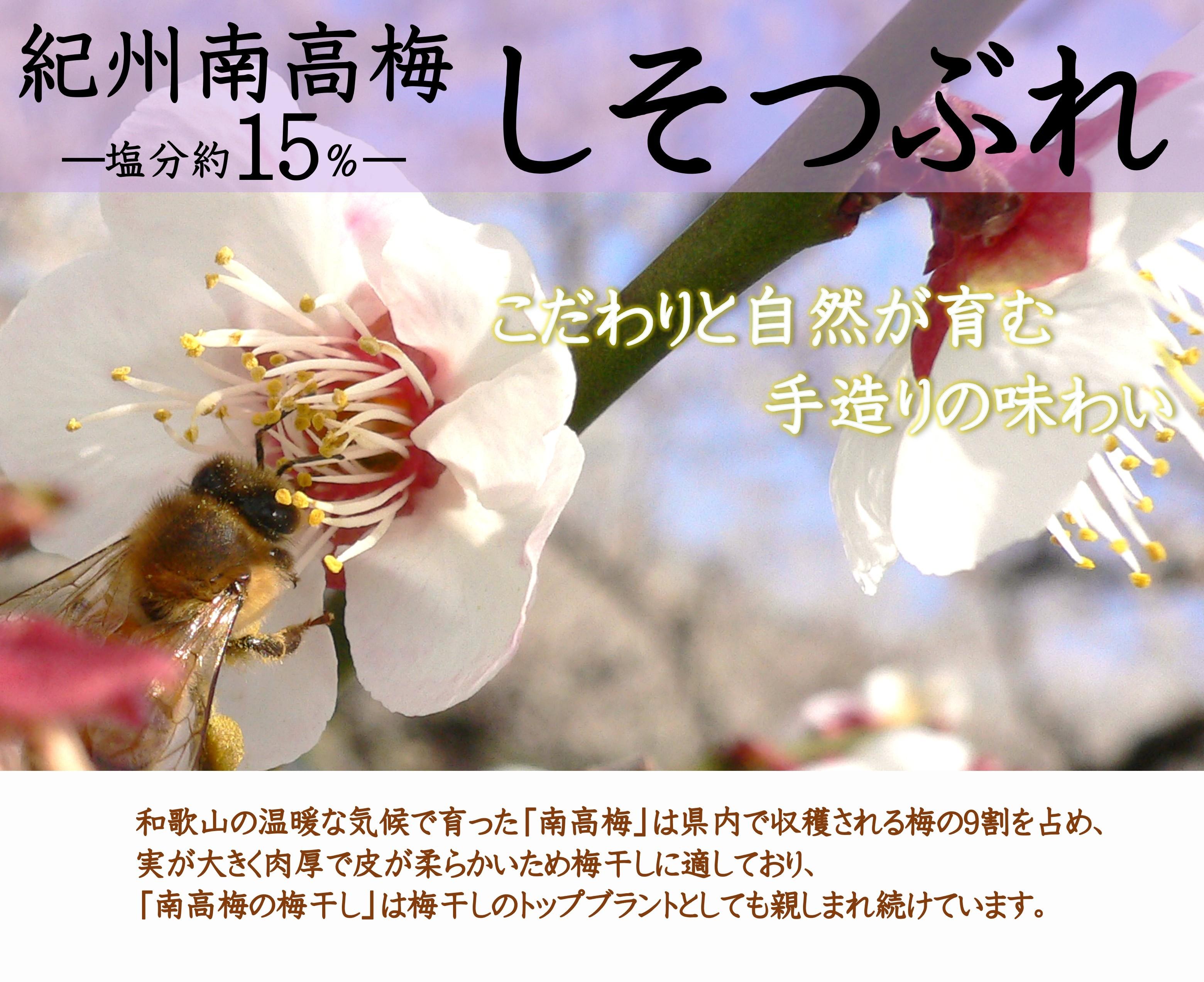 ご家庭用 大容量 紀州南高梅 しそ漬 つぶれ 塩分約15％ 700g×2 ［YM16m］ yamada006A