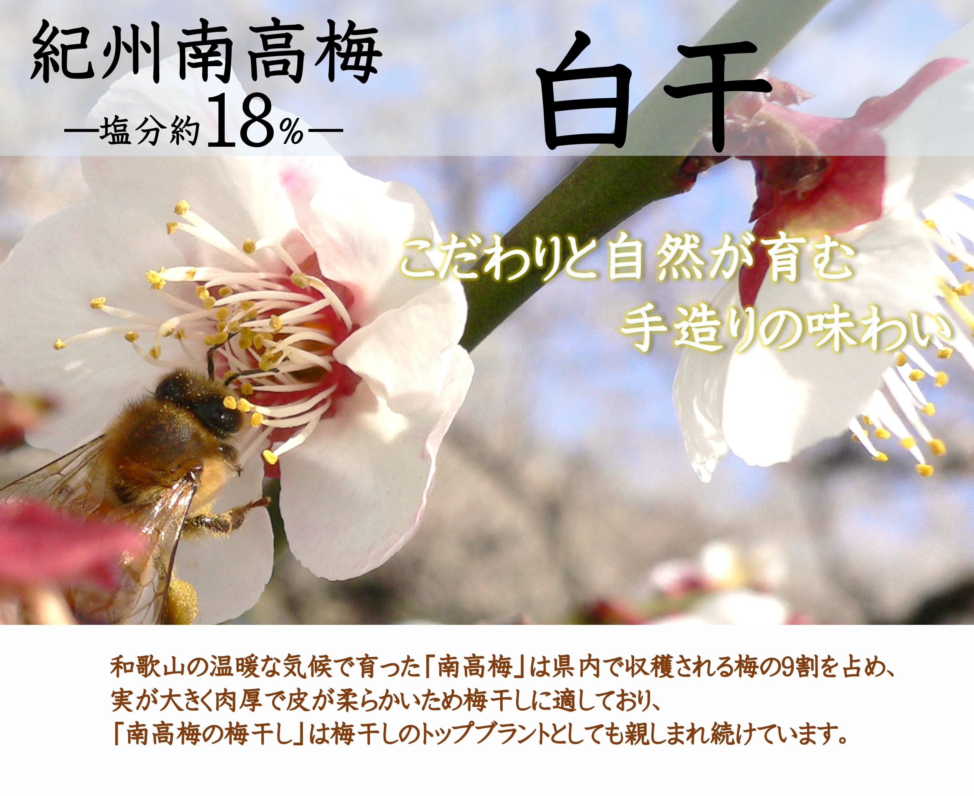 紀州南高梅 白干 500g×2 塩分 約18% yamada012A