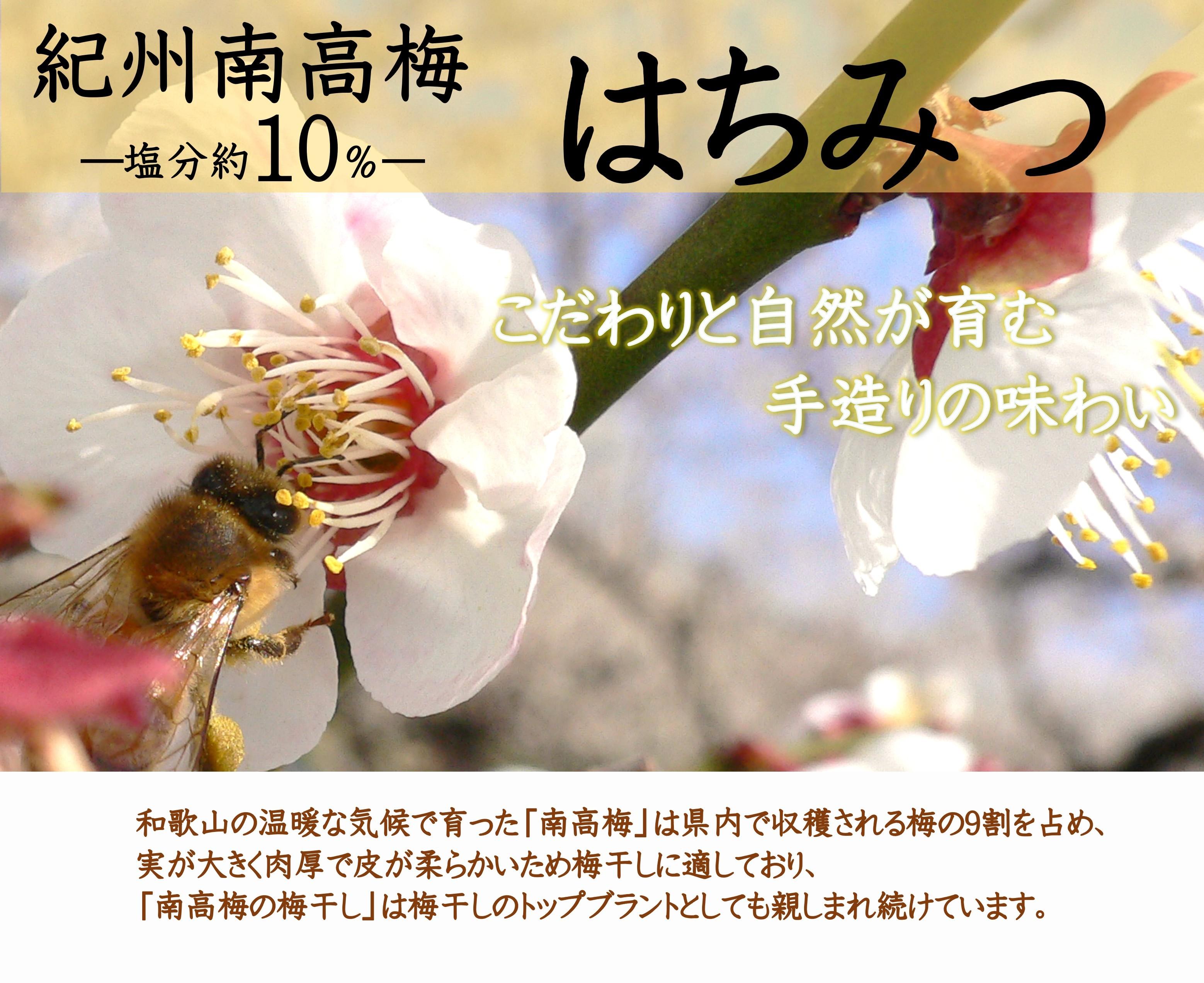 紀州南高梅 はちみつ 850g 塩分 約10％ yamada008A