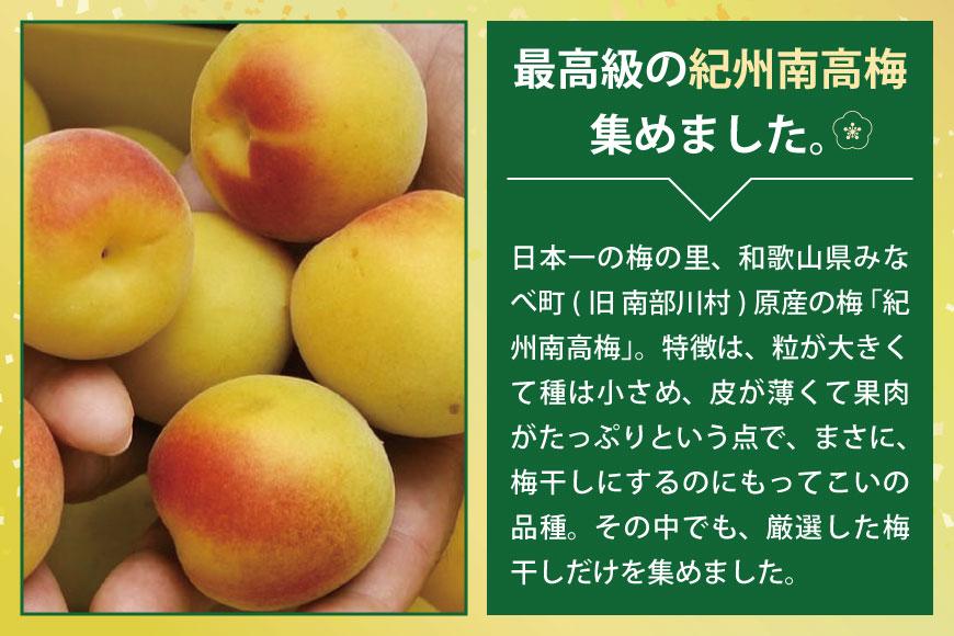 元祖はちみつ入梅干　黄金漬（1.5kg）umicbn003A