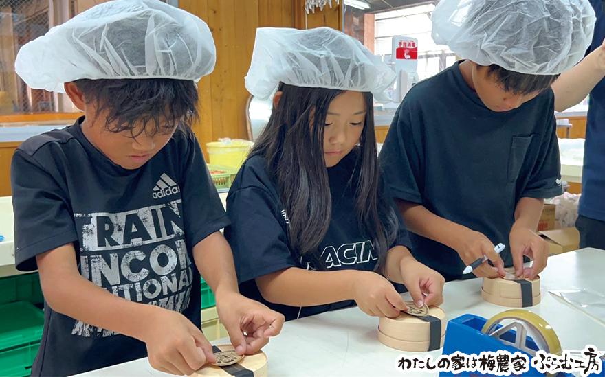 オリジナルおにぎり梅製作体験ペアチケット iwasho009A