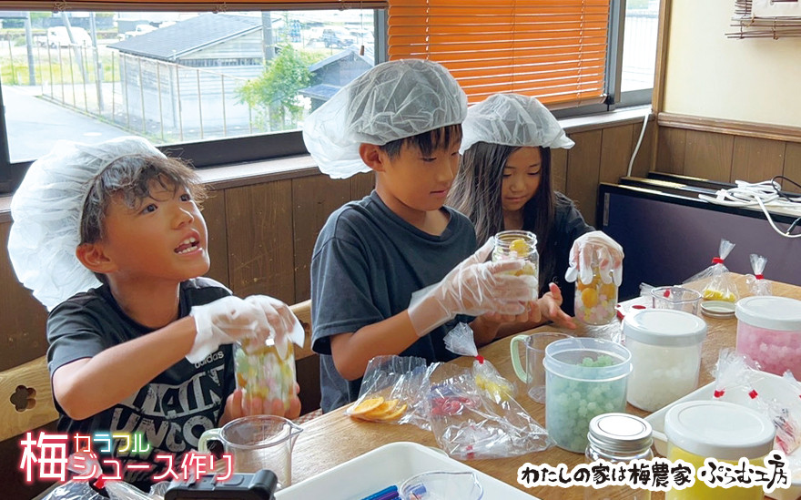 カラフル梅ジュース＆梅ジャムづくり体験チケット  iwasho004A