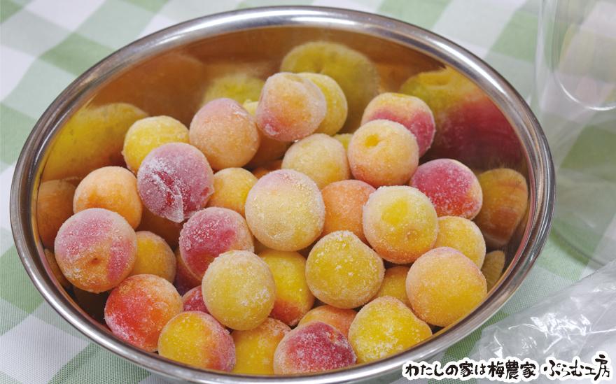 梅ジュースづくり体験ペアチケット iwasho014A