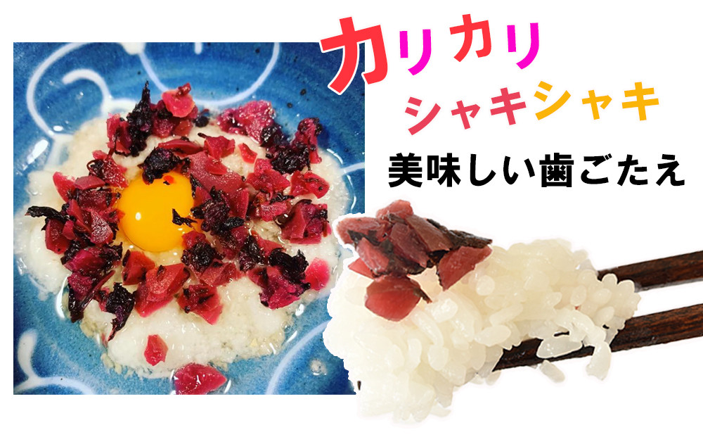 紀州産 カリカリ南高しそ梅 170g×10個 hjumys028