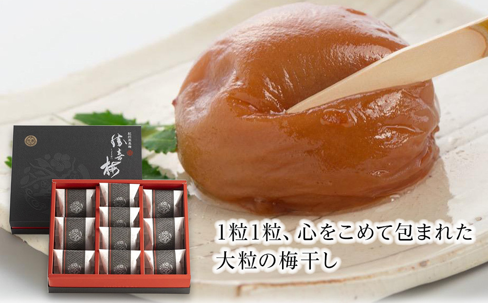 大粒の紀州南高梅 人気のはちみつ仕立て「極」10包 shokibai001B　［SB1］