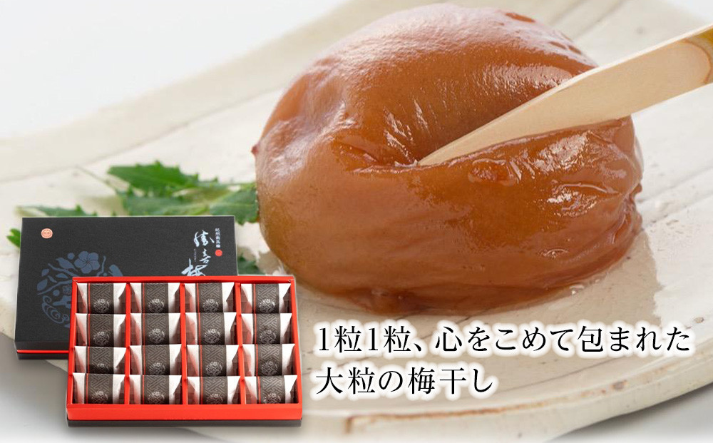 大粒の紀州南高梅 人気のはちみつ仕立て「極」16包 shokibai006A　［SB2］