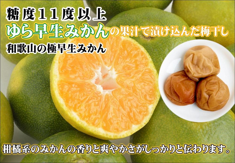 みかんこい梅　yplu005A