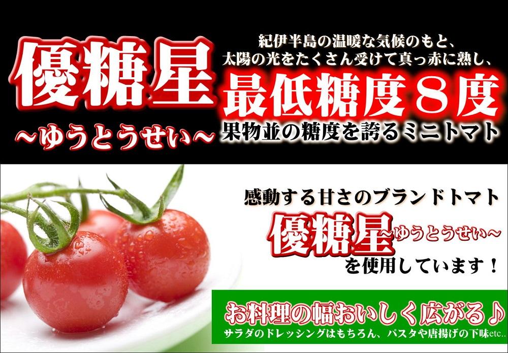 こく旨tomato調味料　yplu007A