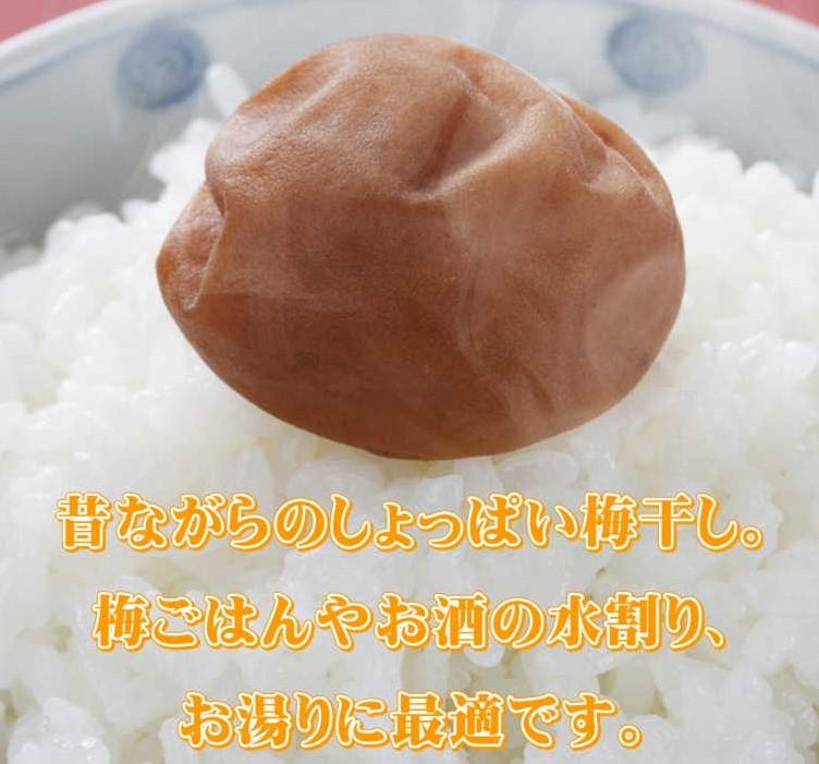 紀州南高梅　白干梅　yplu014A