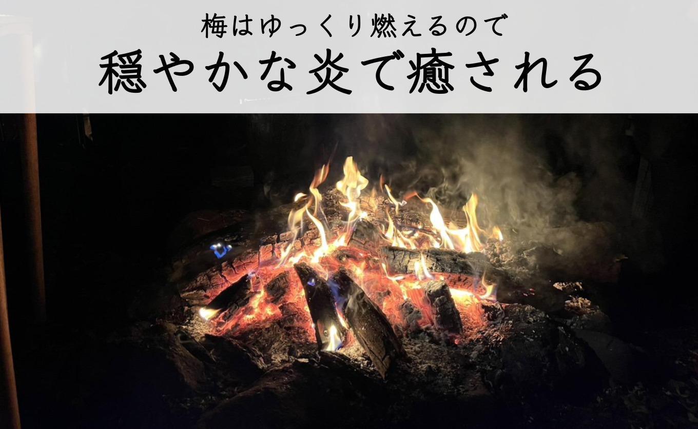 【定期便 毎月発送・全3回 】梅の薪 約14kg×3回 梅ボーイズ 広葉樹【 広葉樹トップ級の火持ち】umehkr017A