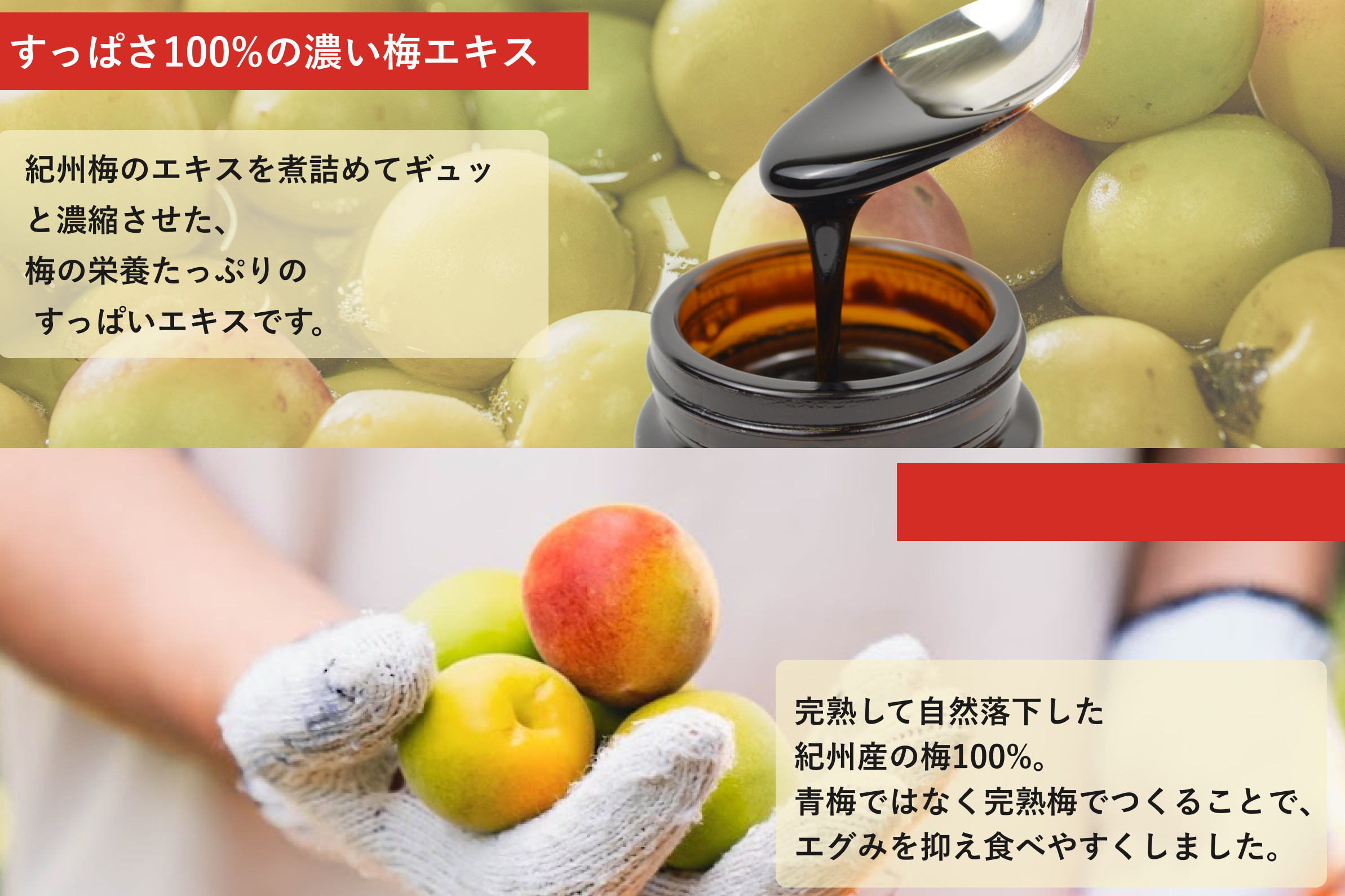 【梅ボーイズ】すっっぱい梅エキス 90g umehkr026