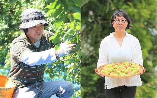 農薬を使用していない南高梅　trgk003A