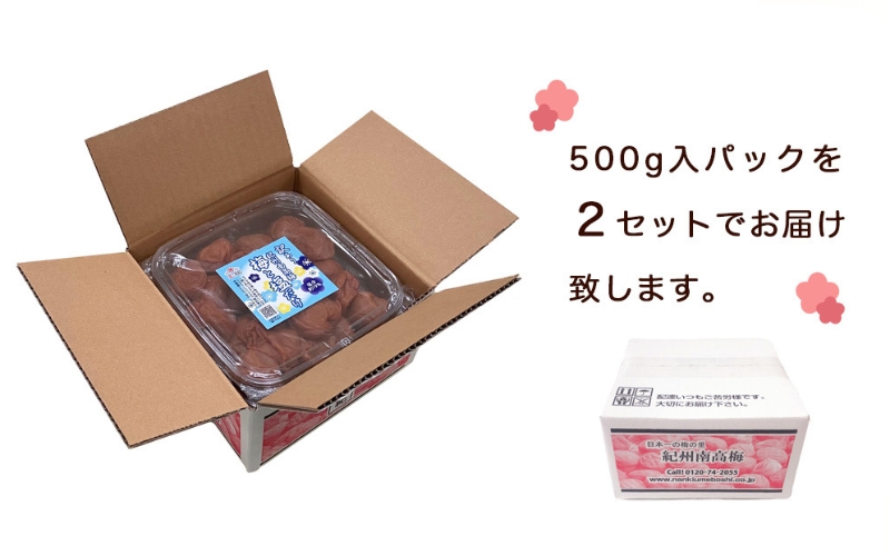訳あり梅干し まけん梅 梅と塩だけ 1kg（500g×2）紀州南高梅 塩分約19% 【nankiume008A】